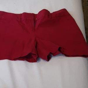 Sex dressy pretty in fuchsia